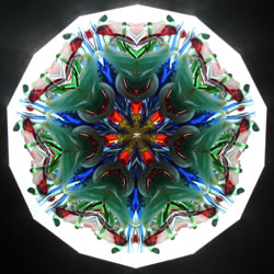Real Sample Image from Number 11