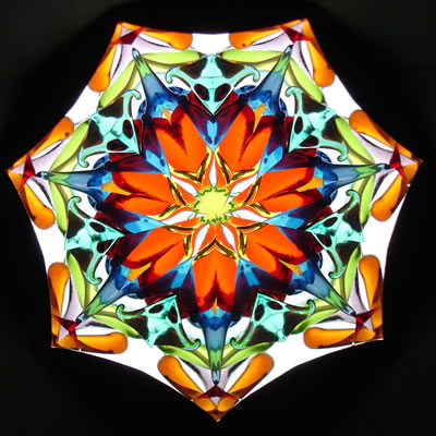 Real Sample Image from Nunber 19