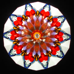 Real Sample Image from Number 13