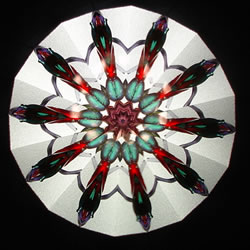 Real Sample Image from Number 13
