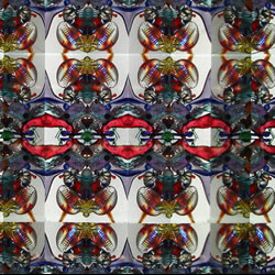 Real Sample Image from Number 22